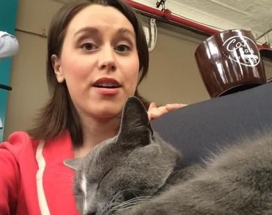First 'Cat Cafe' Opens in North America