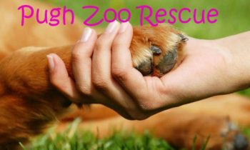 Harford County Living’s Business Of The Week – Pugh Zoo Rescue