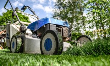 Brothers Mow To Keep Woman Free – KWTX