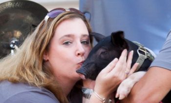 Kiss-A-Pig Contest Raises Over $40,000  for Boys & Girls Clubs of Harford County