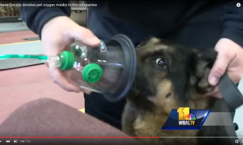 Humane Society of Harford County Donates Pet Oxygen Masks