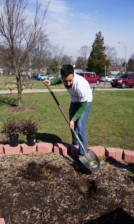 Daniel Whipp, Office of Economic Development, helping with planting and landscaping