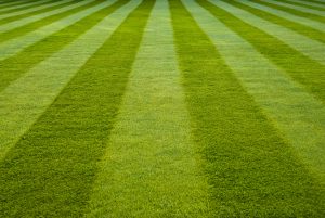 April is National Lawn Care Month 