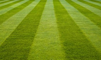 April is National Lawn Care Month