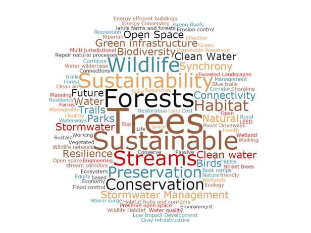 The word cloud showing responses to the workshop question, “What three words come to mind when you hear ‘Green Infrastructure’?”