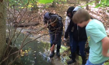 Harford County Public Schools Participates in Explore and Restore Harford Streams Program