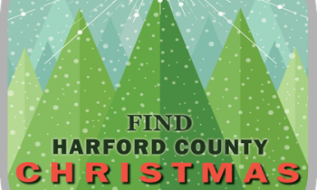 Harford County Offers Christmas Tree Safety Tips