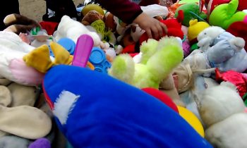 Send Your Unwanted Stuffed Animals on a Journey this Holiday Season