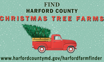 Harford County Offers Online Christmas Tree Farm Finder