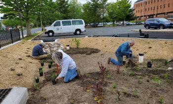 Harford County Builds Environmentally-Friendly Rain Garden in Bel Air