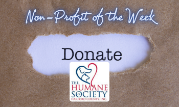2020 Favorite Local Charity/Nonprofit