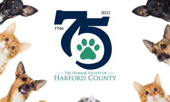 The Humane Society of Harford County Celebrates 75 Years of Service
