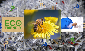 Keeping Your Home and Business Eco-Friendly