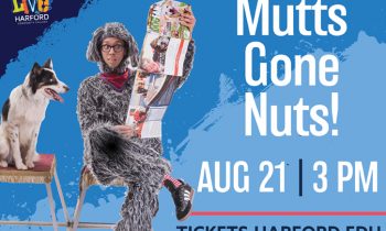 Mutts Gone Nuts! Coming to the Amoss Center