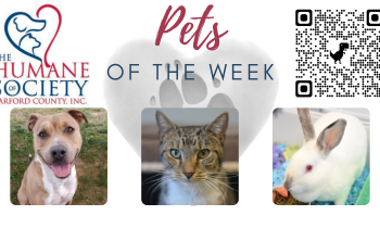 Pets of the Week for December 6, 2021