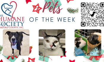 Pets of the Week for December 20, 2021