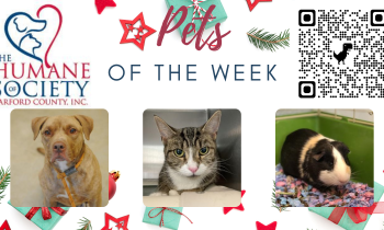 Pets of the Week for December 27, 2021