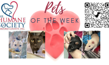 Pets of the Week for January 17, 2022