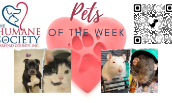 Pets of the Week for January 24, 2022