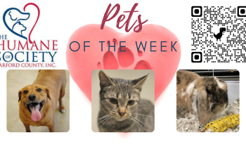 Pets of the Week for January 3, 2022