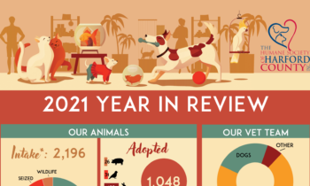 The Humane Society of Harford County’s 2021 Year in Review 