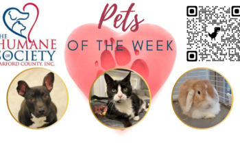 Pets of the Week for March 7, 2022