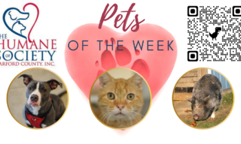 Pets of the Week for March 14, 2022
