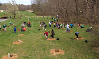 Volunteers Invited to Plant Trees Friday, April 15 for Harford County’s Arbor Day Celebration