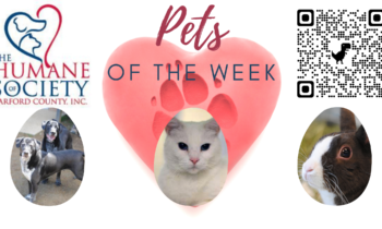 Pets of the Week for April 25, 2022