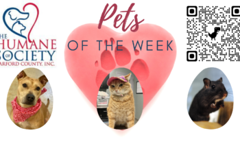 Pets of the Week for April 18, 2022