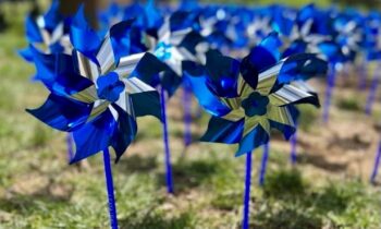 Honoring the safety of all children with blue pinwheels