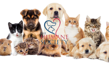 The Humane Society of Harford County Announces Search for New Executive Director 