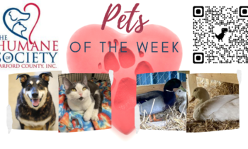Pets of the Week for May 23, 2022