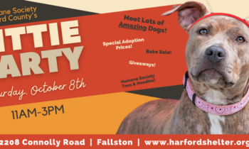 Pittie Party Adoption Fair at Humane Society of Harford County Set for October 8 