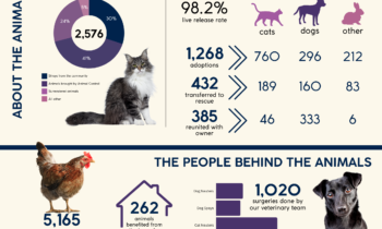 The Humane Society of Harford County’s 2022 Year in Review