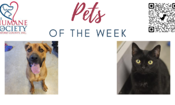 Pets of the Week for February 27, 2023