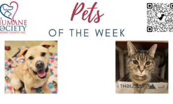 Pets of the Week for March 27, 2023