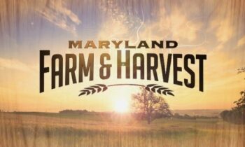 MPT series Maryland Farm & Harvest visits Anne Arundel, Baltimore, Frederick, Harford, and Washington counties during February 6 episode