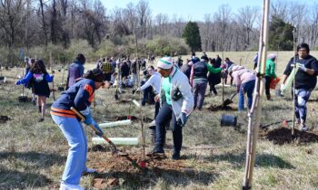 Community Volunteers Plant 150 Trees for Harford County’s Arbor Day Celebration